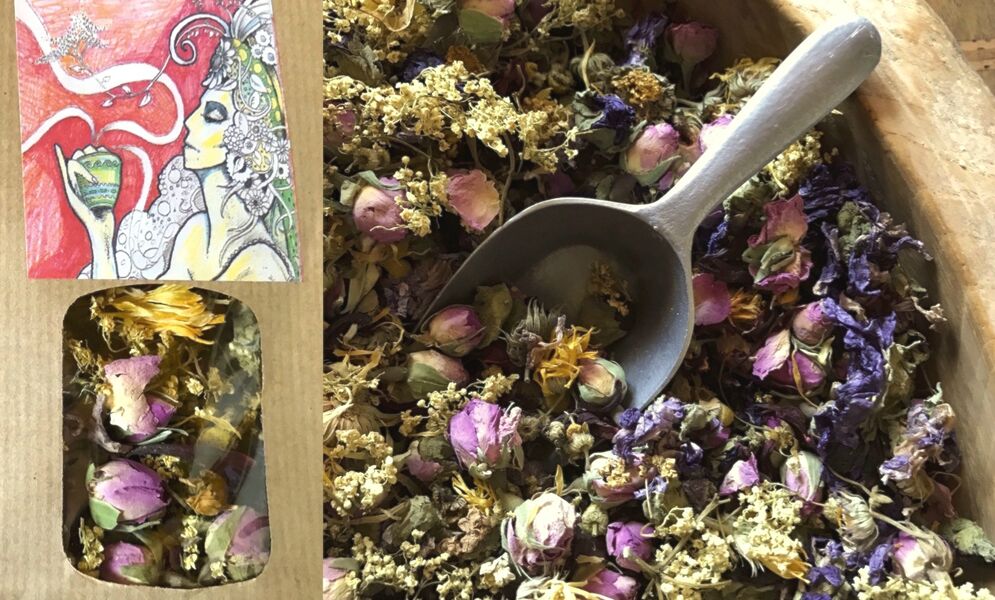 Plantes Sauvages et Medicinales